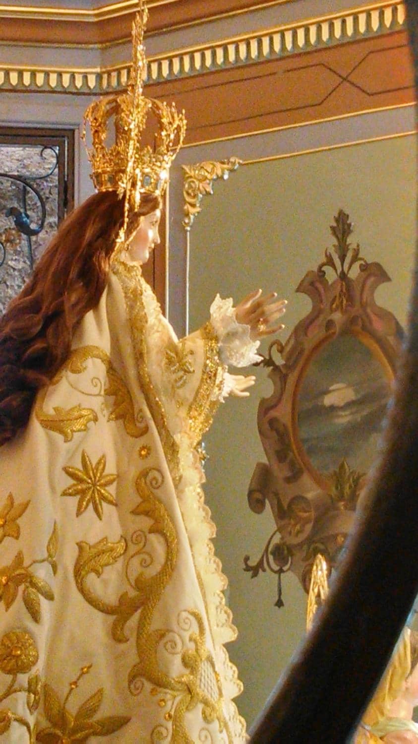 River Segura Surroundings