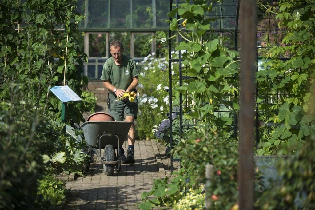 Stream and Water Features