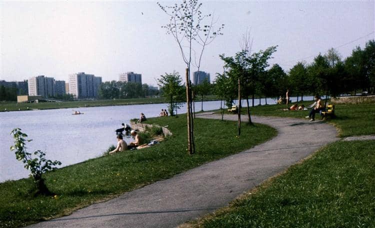 Beach Bar & Recreation