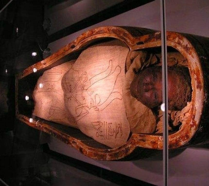 Mummified Crocodile