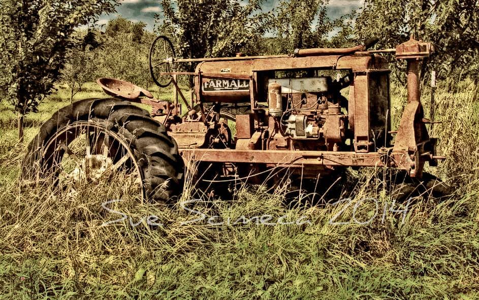 Hands-On Farm Activities