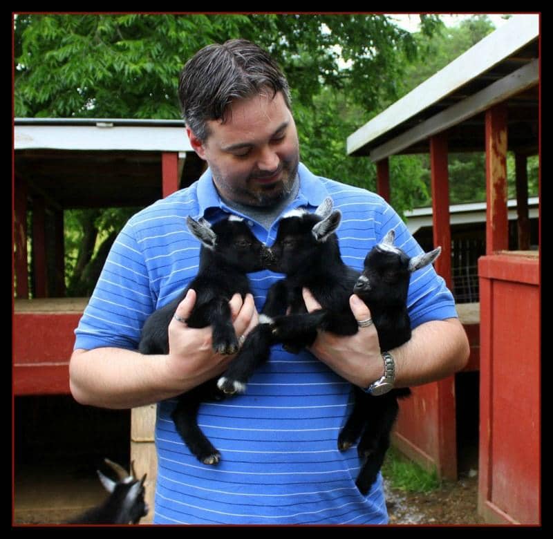 Horseback Trail Rides
