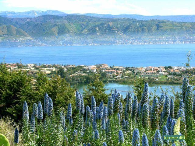 Musolino Equipped Area