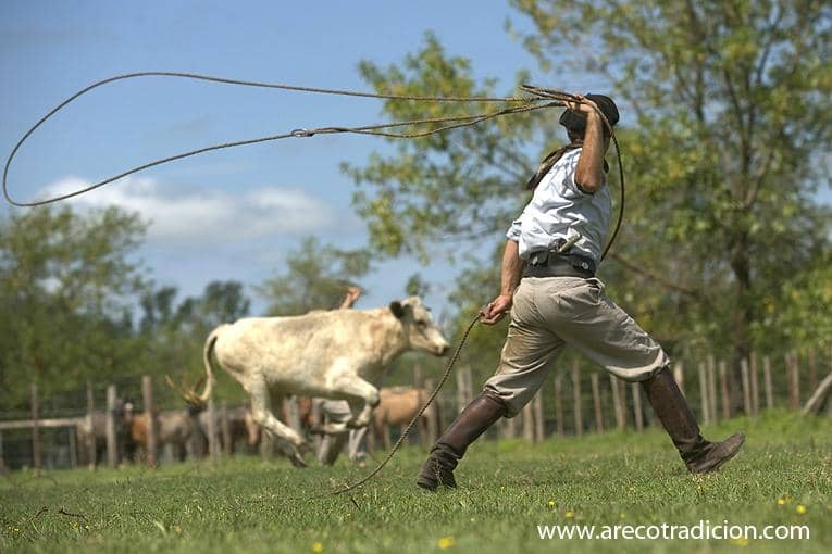 Estancia Experience