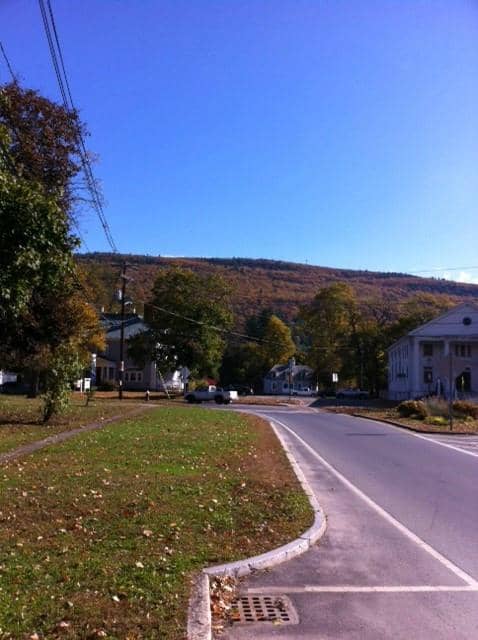 Greenery and Sunshine