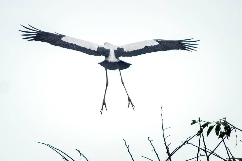 Tranquil Reservoir Views