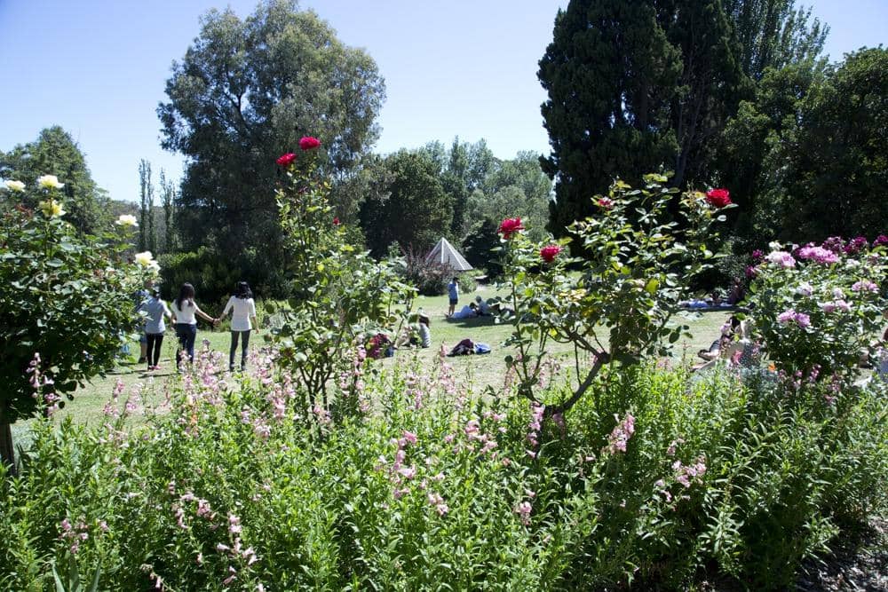 Collingwood Children's Farm