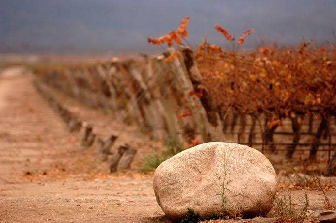 Vistalba Gran Malbec