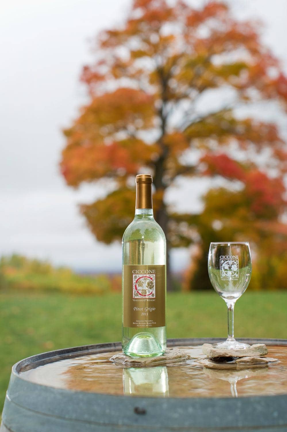 Wine Tasting Experience