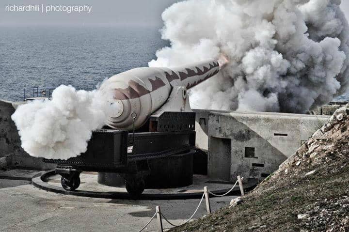 Passionate Volunteer Guides