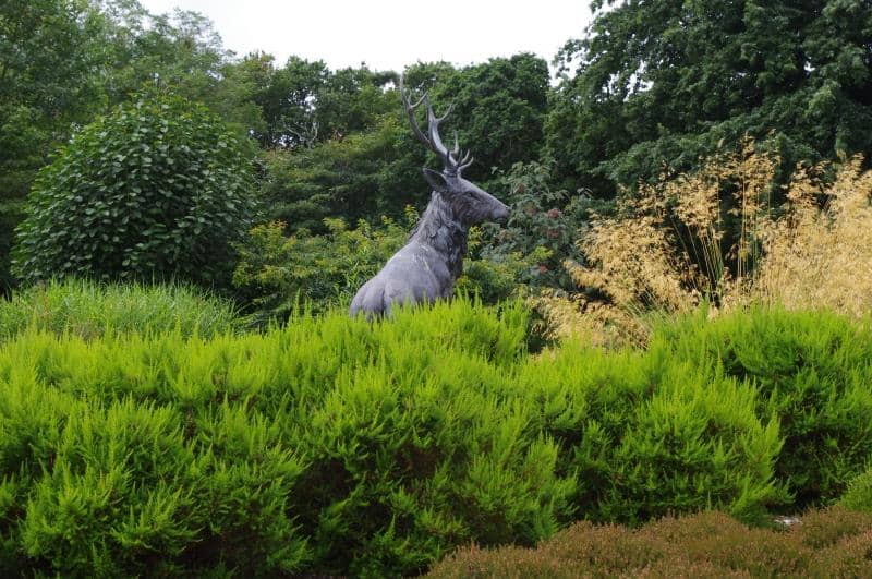 Japanese Garden