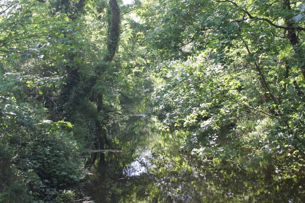 River Lee Walks