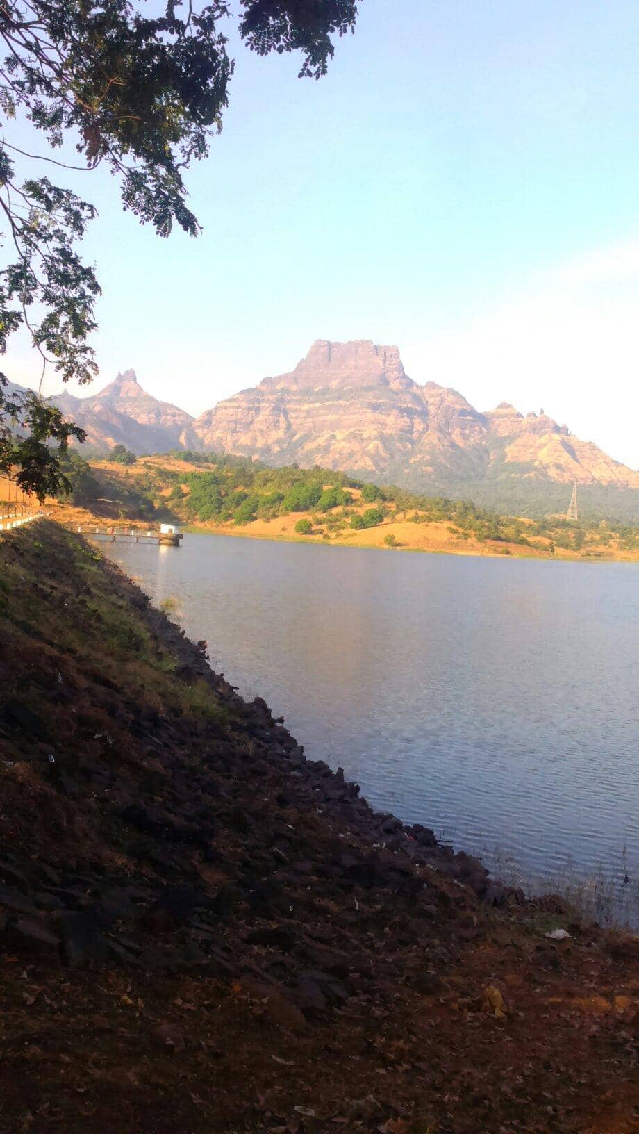 Camping & Farm Stays