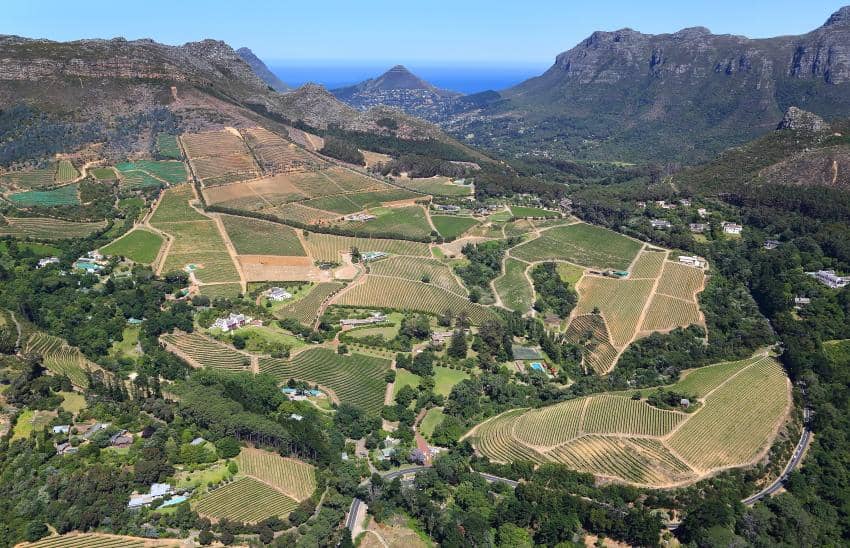 Vineyard and Mountain Vistas