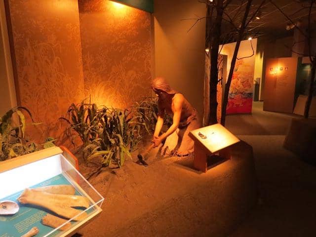 Biodiversity and Birdwatching