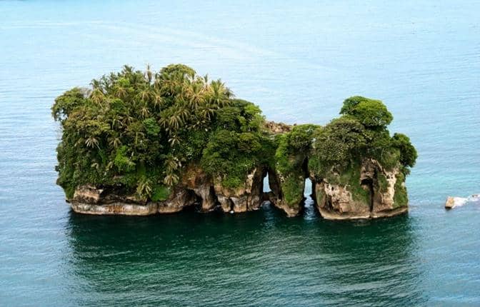 Sloth Sanctuaries & Hangouts