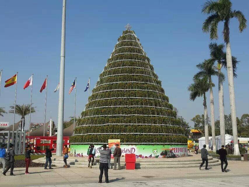 Stone and Grass Arrangements