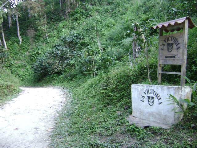 Pico Cristóbal Colón