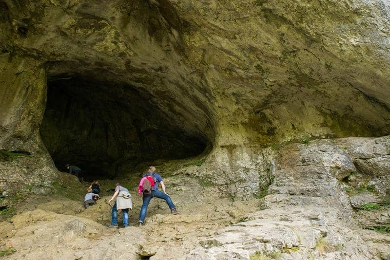 Reynards Cave