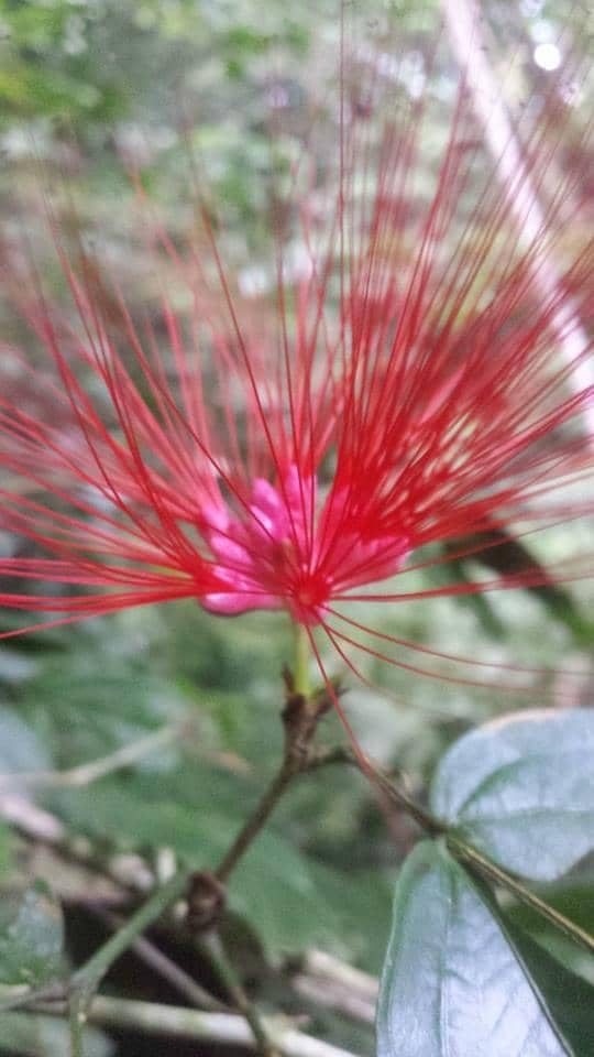 Waterfalls & Cascades