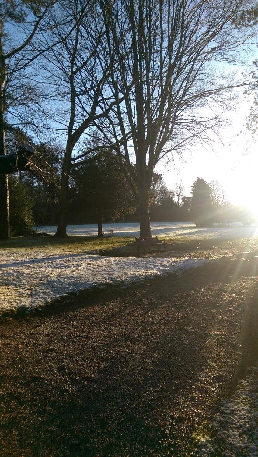 Luxurious Spa Treatments