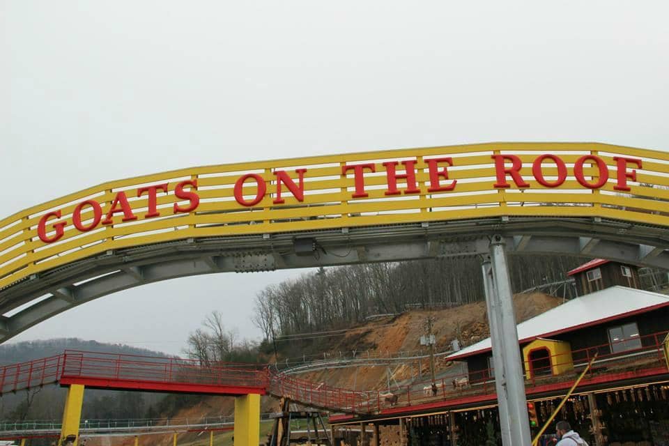 The Goat Coaster