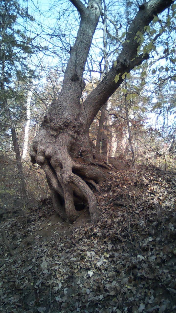 Vertical photo