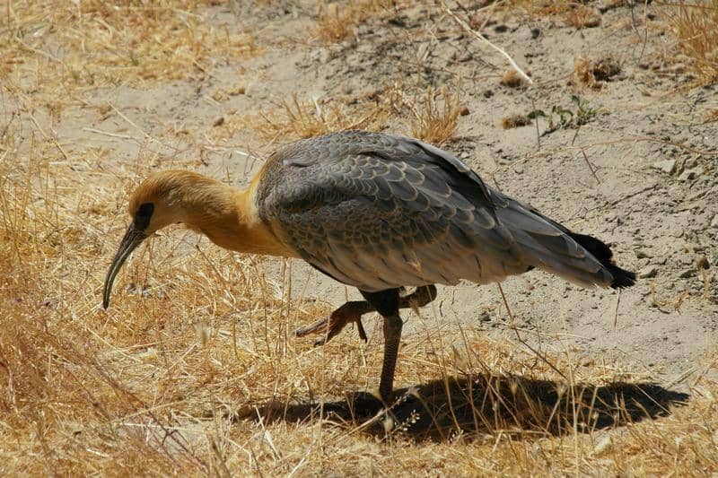 Climbing Routes Galore