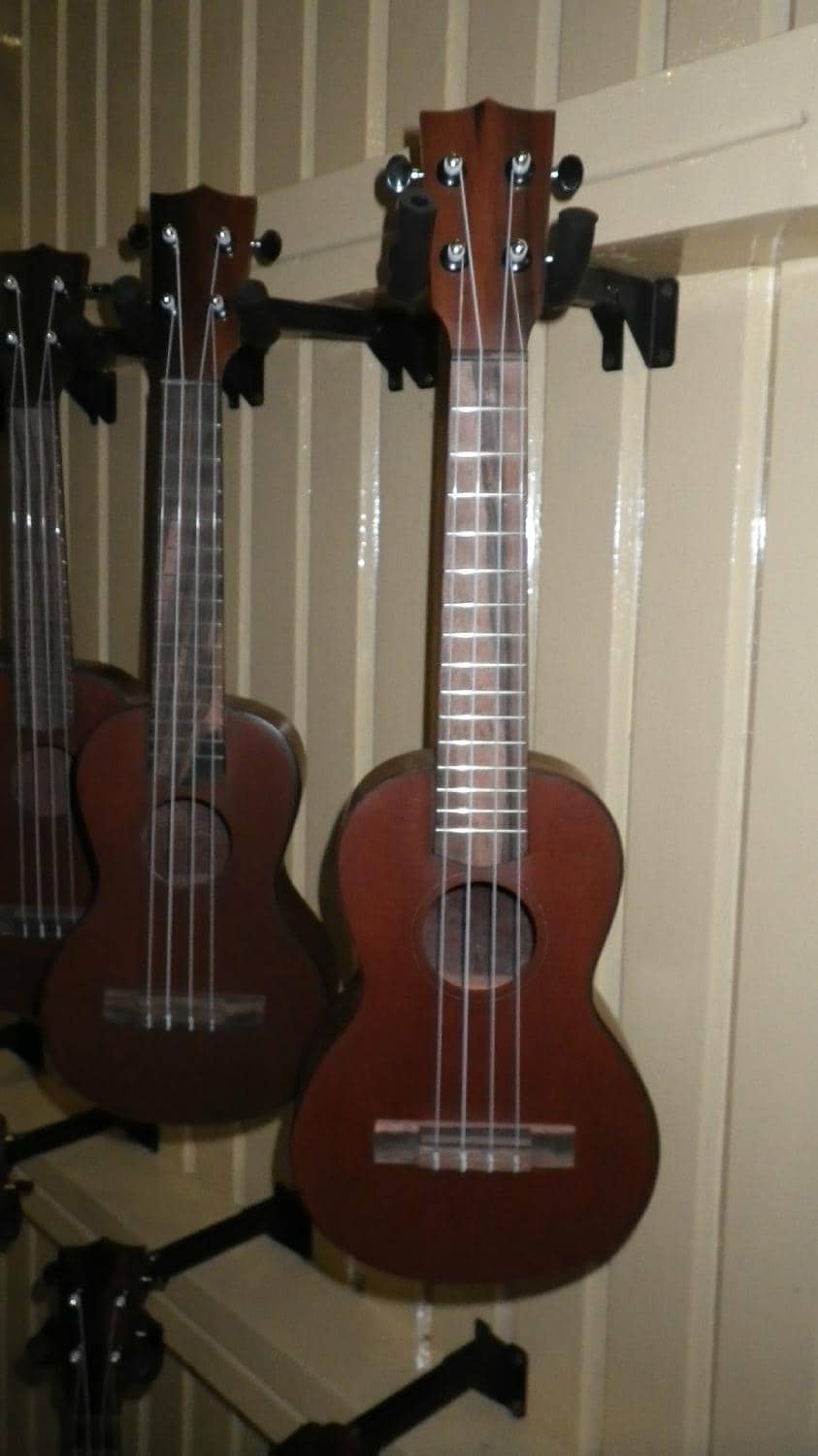 Ukulele Selection