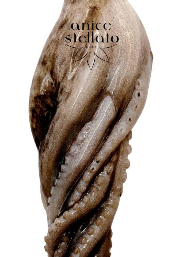 Cozy Canal-Side Ambiance