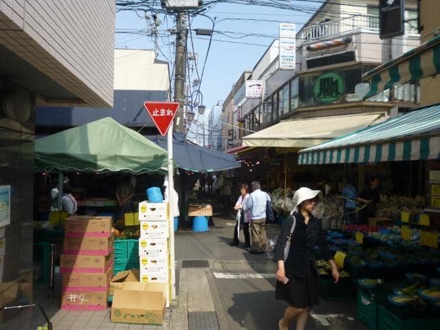 Vertical photo