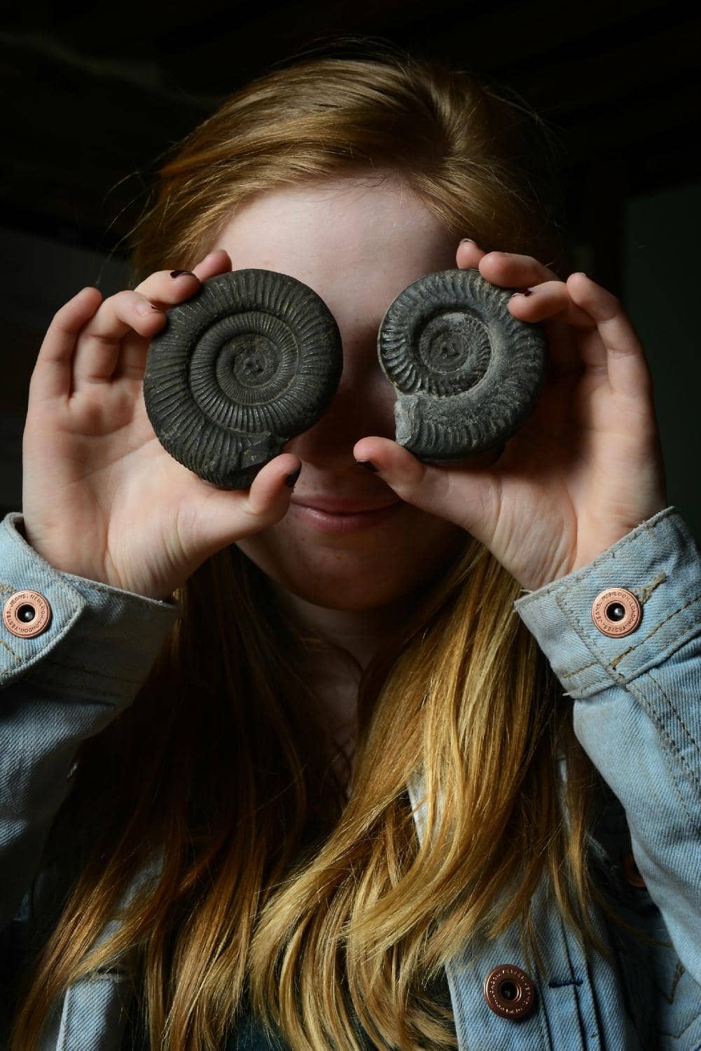 Viking Encounters