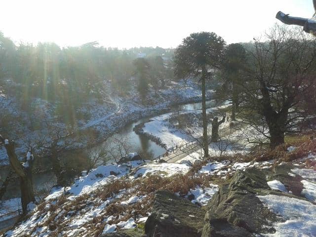Swithland Wood