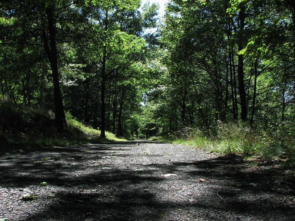 Scenic Carriage Trails