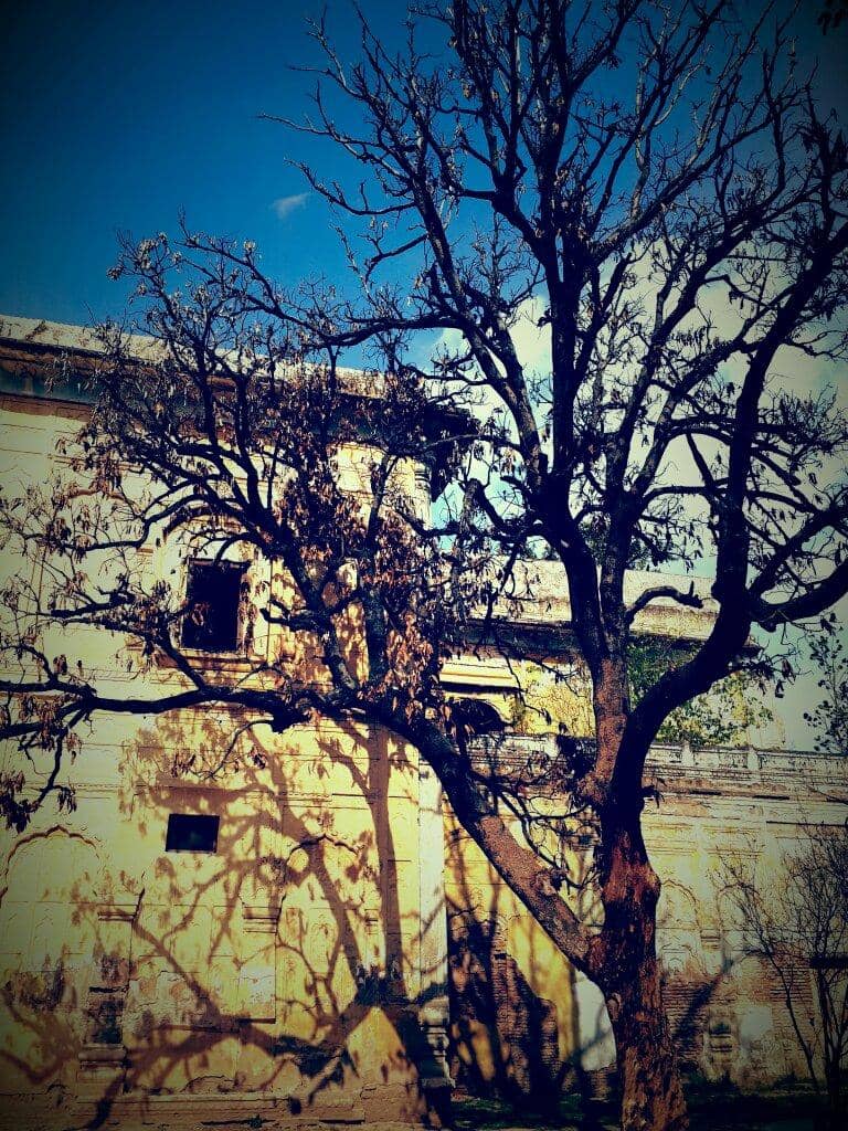 Vertical photo