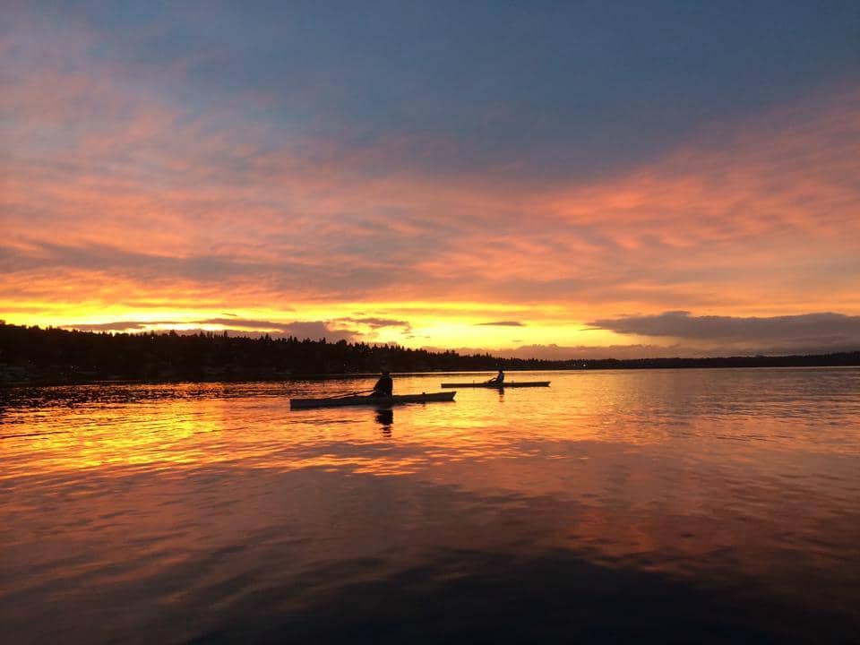 Wildlife Photography Haven