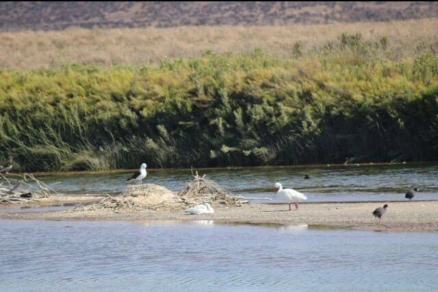 Tranquil Ocean Views