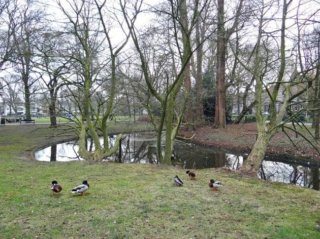 The Pond and Bridges