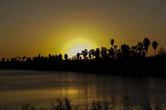 Birdwatching Blinds & Feeding Stations