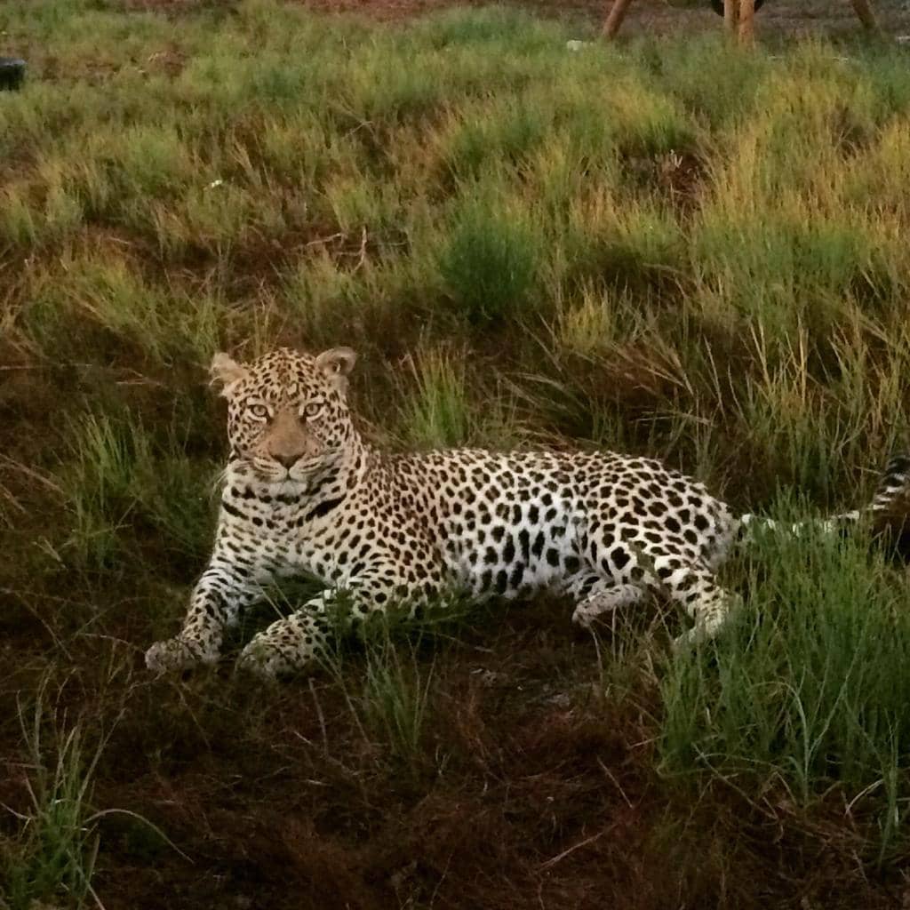 Educational Insights