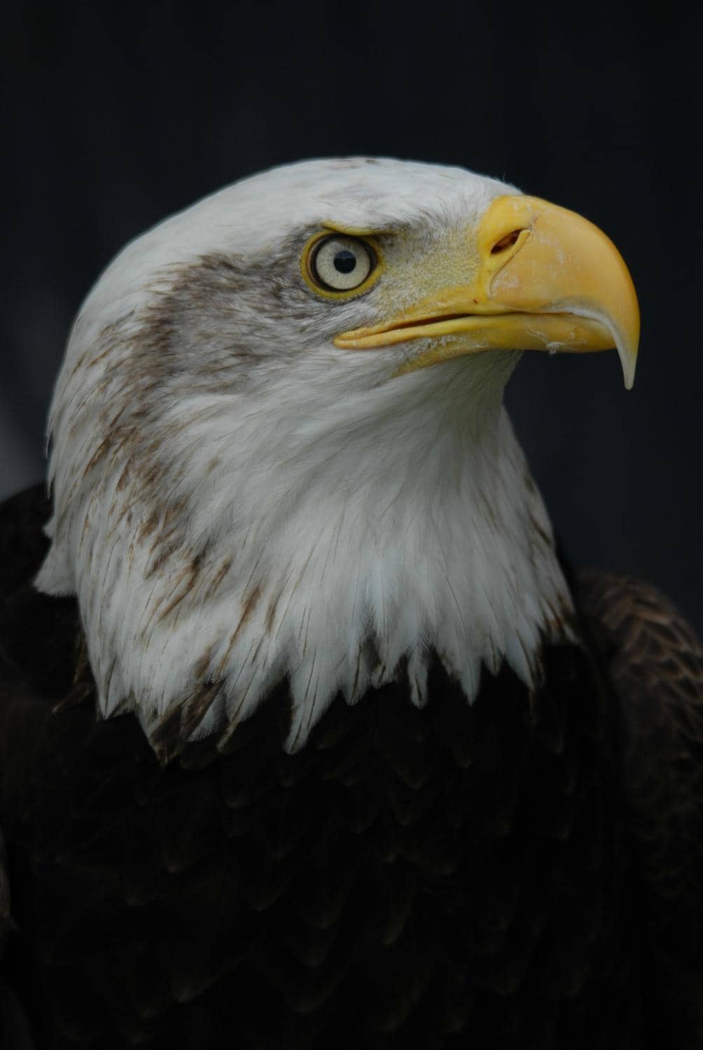 Reptile Room Exploration