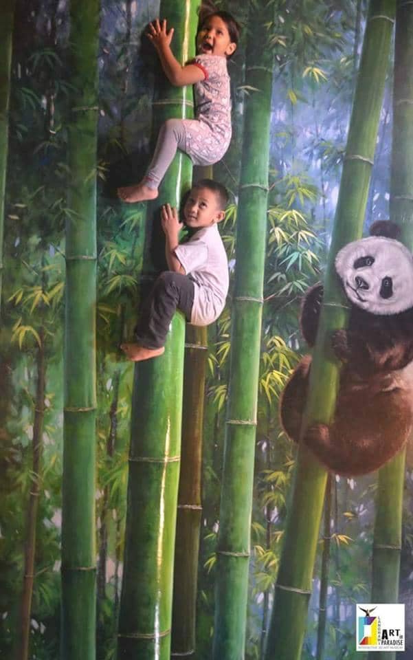 Family Fun Photo Ops