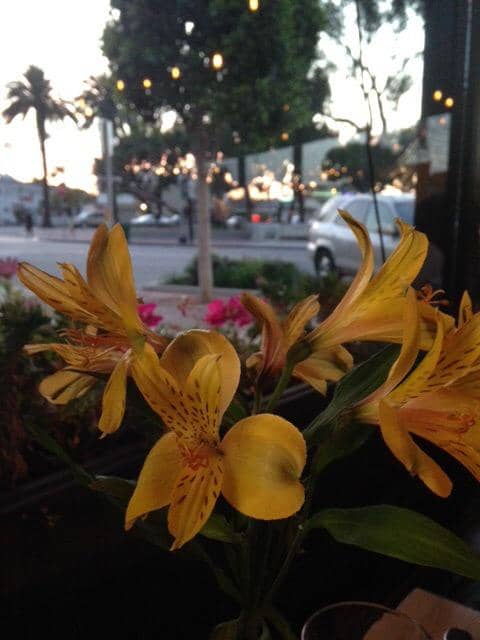 Charming European Ambiance