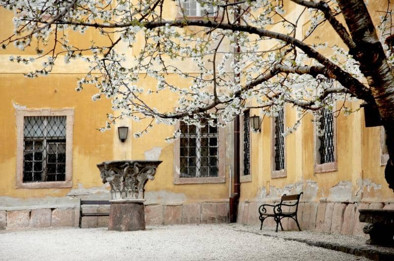 Historical Pharmacy Interior