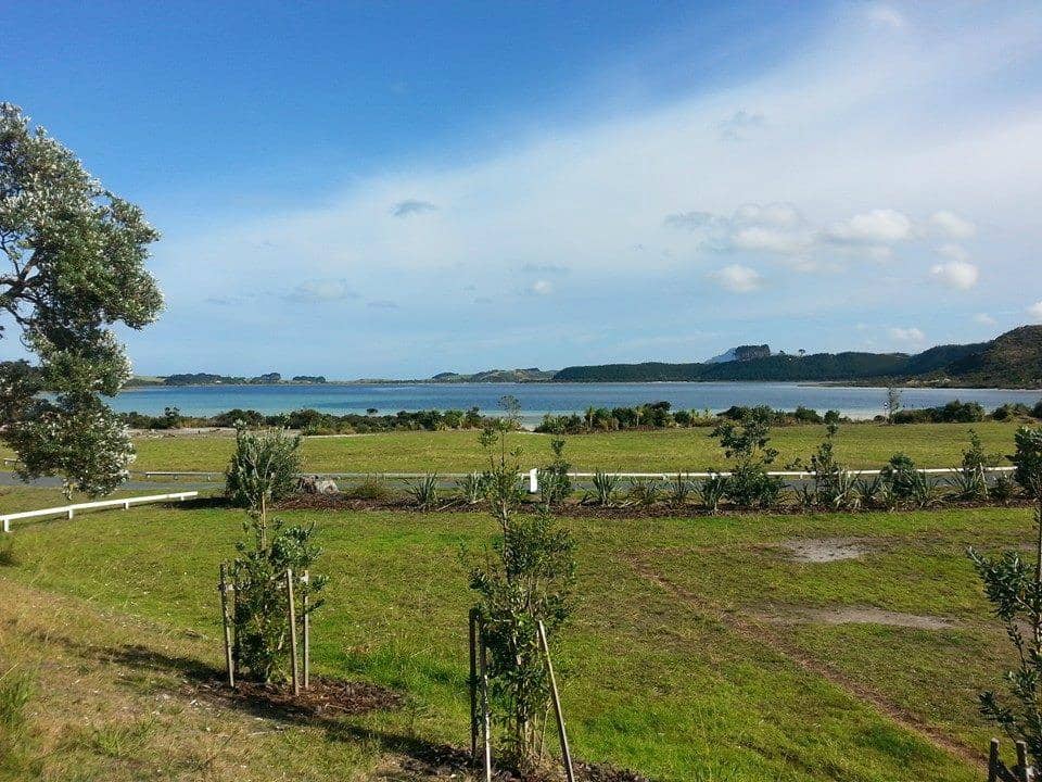 Scenic Walking and Cycling Trails