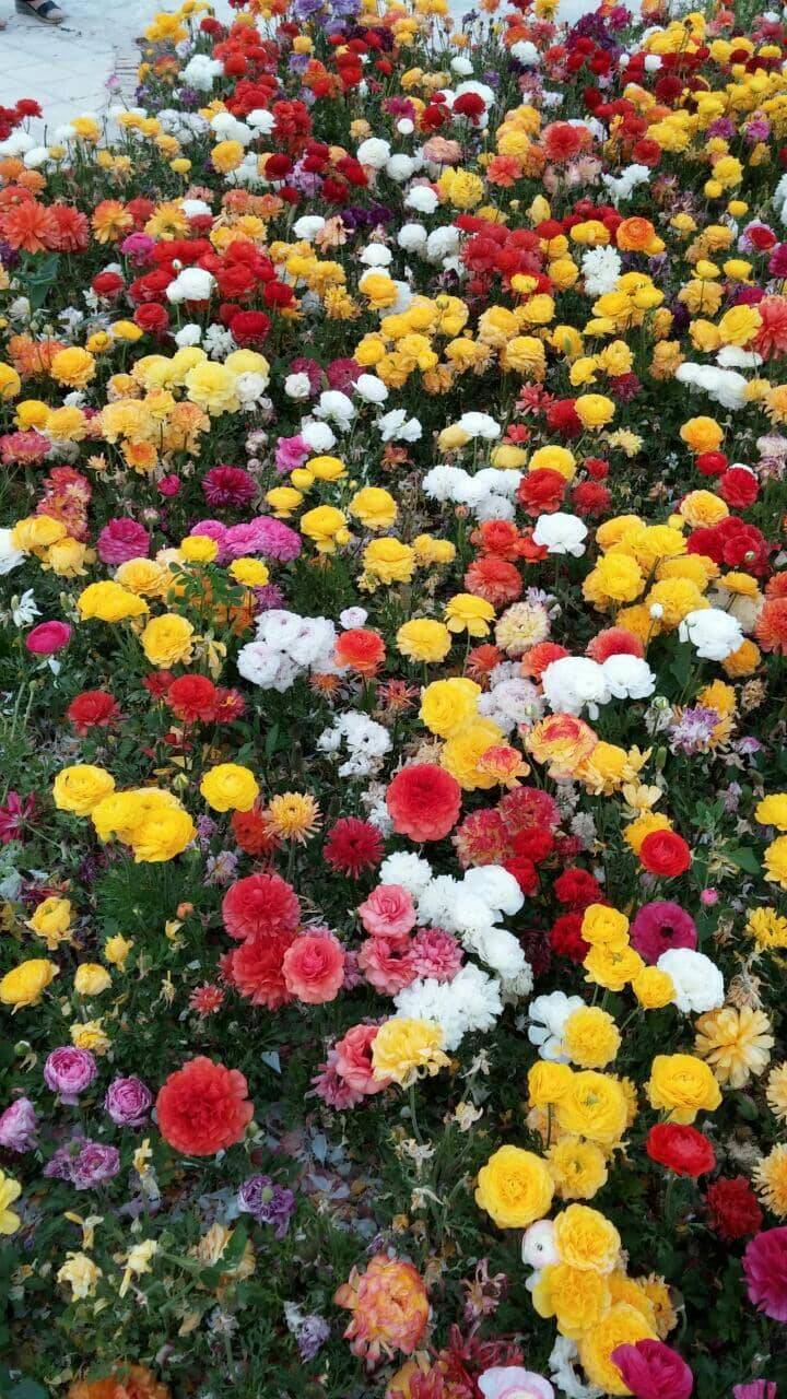 Family-Friendly Zones