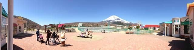 Giant Maze & Adventure Rides