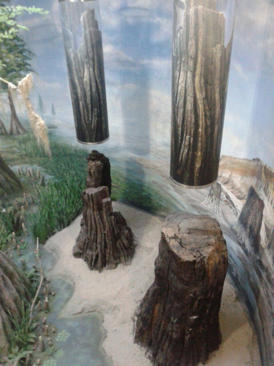 History of Gold Exhibition