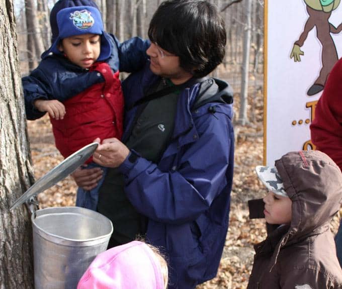 Maple Syrup Festival