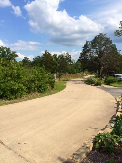 Colorado River Access